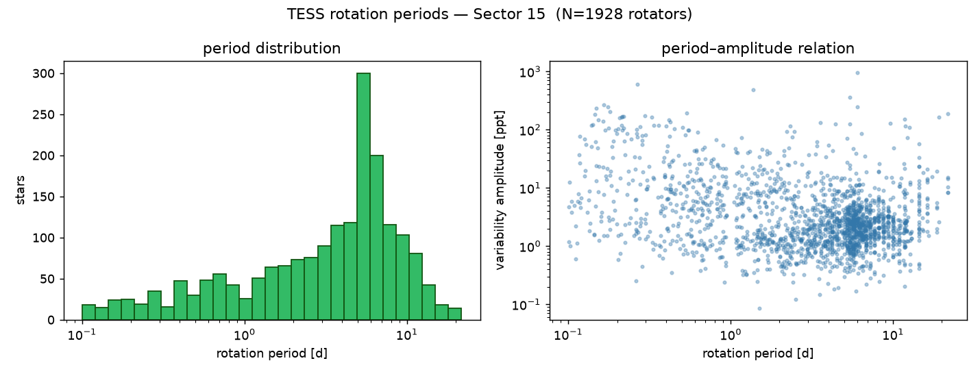 Sector 15 rotation-period distribution and period-amplitude relation