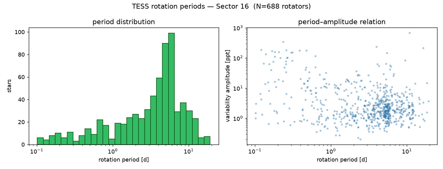 Sector 16 rotation-period distribution and period-amplitude relation