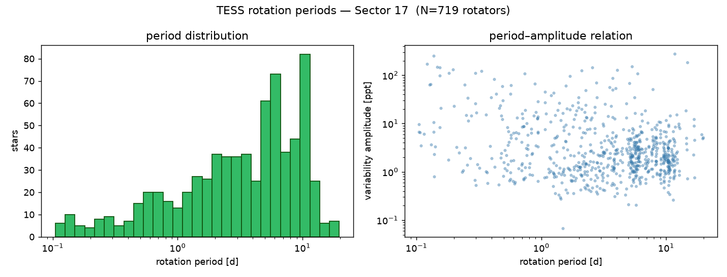 Sector 17 rotation-period distribution and period-amplitude relation