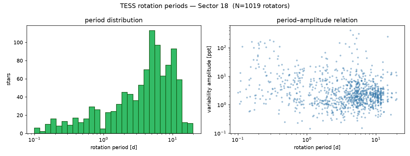 Sector 18 rotation-period distribution and period-amplitude relation